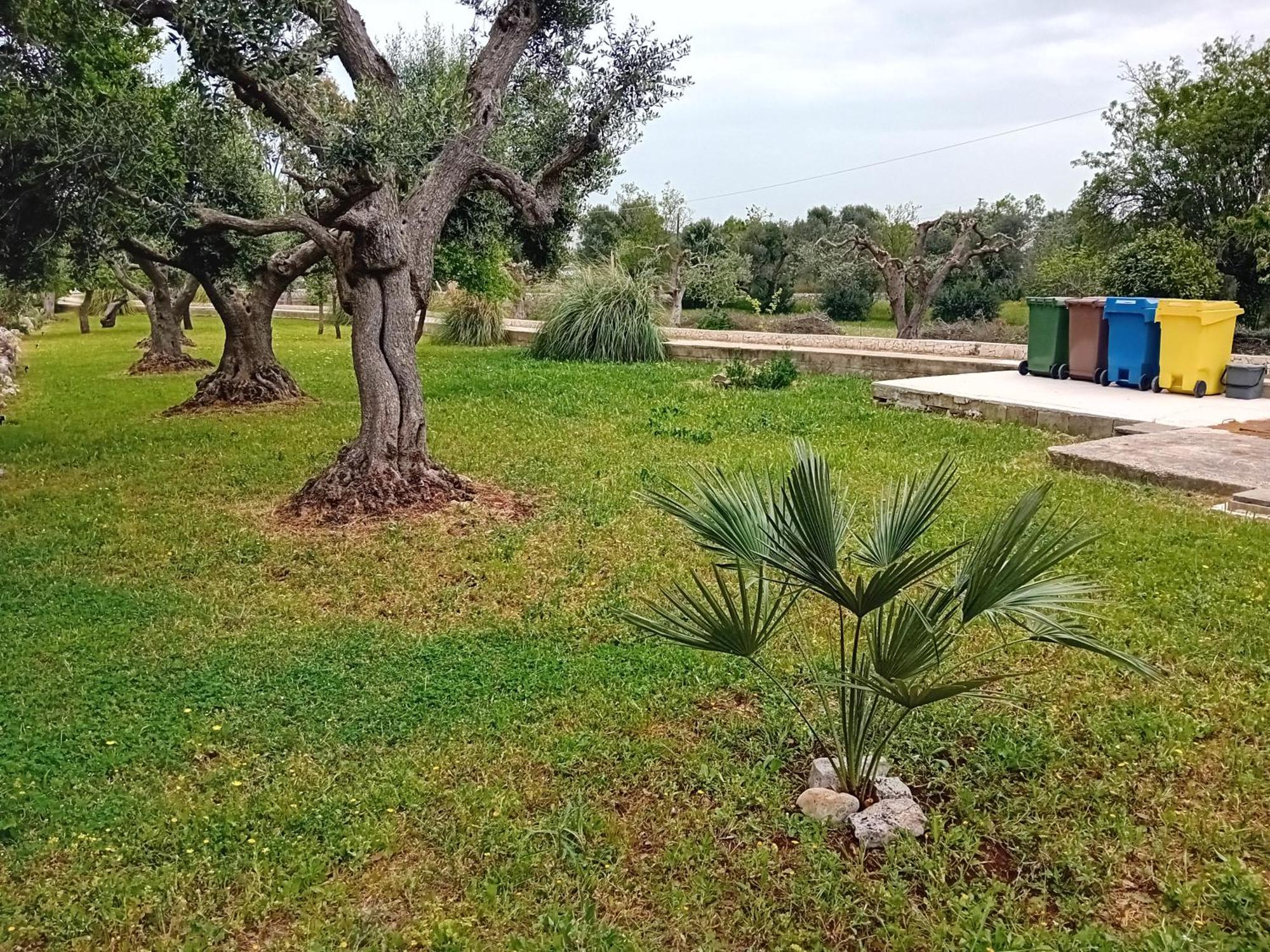 Villa Il Leccio - Trulli Cisternino Eksteriør billede