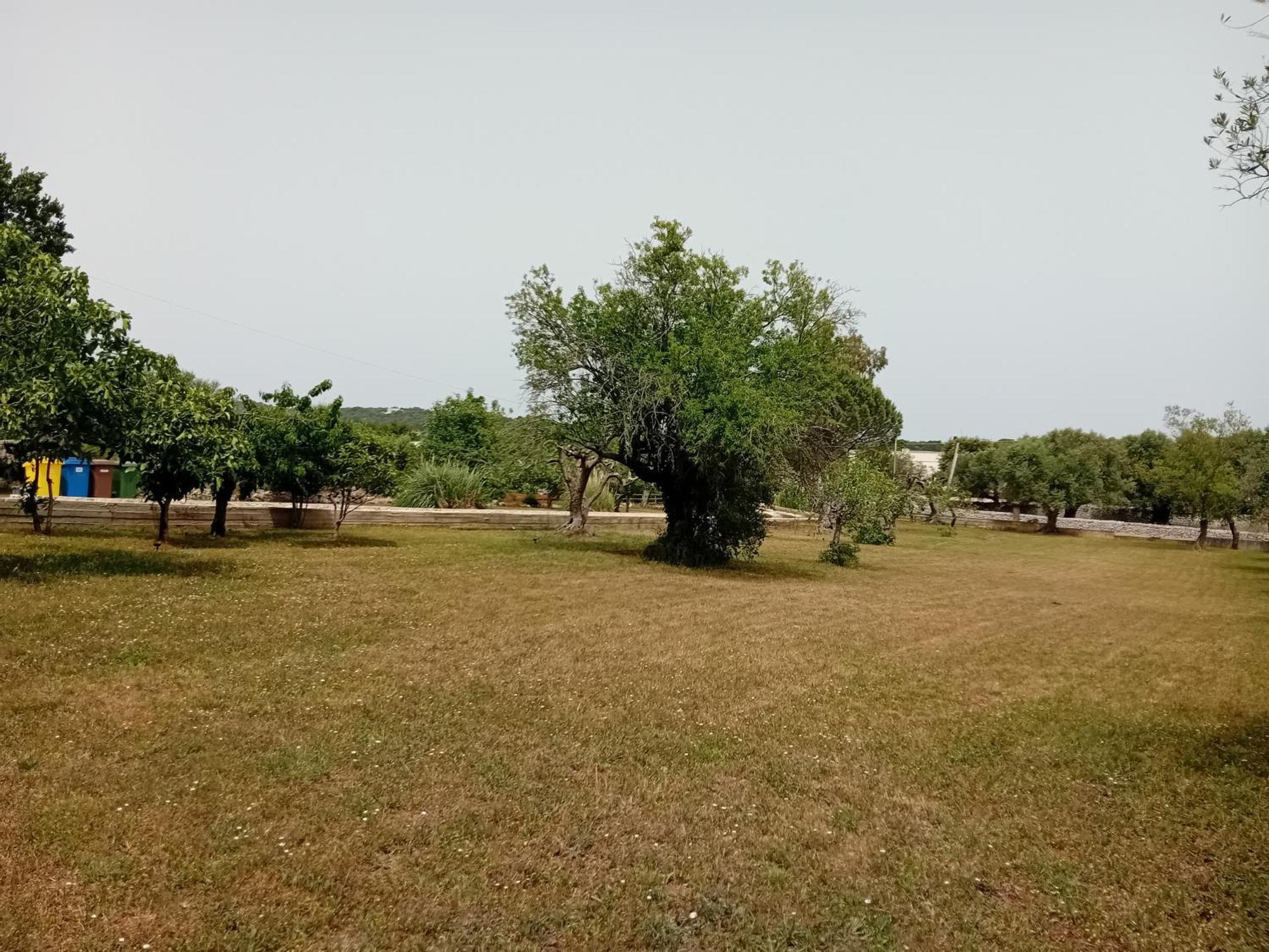 Villa Il Leccio - Trulli Cisternino Eksteriør billede